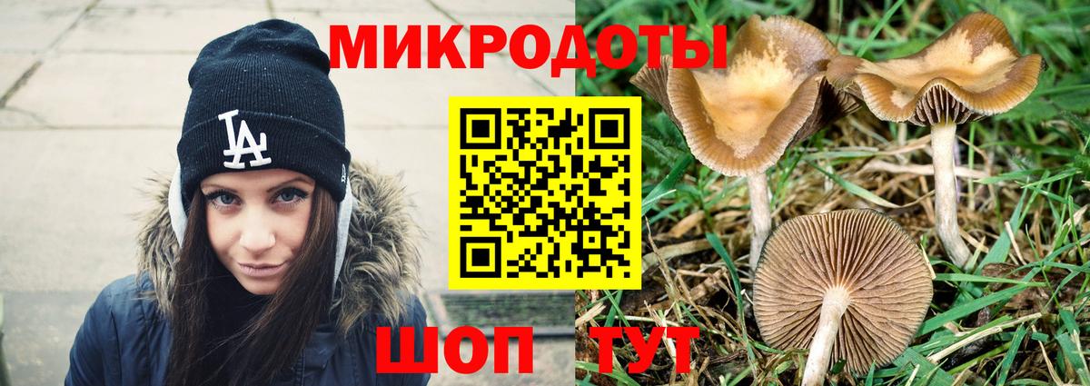 Галлюциногенные грибы мухоморы Шумерля