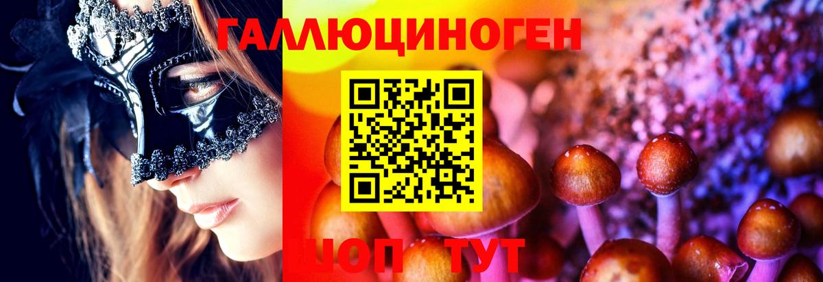 Шумерля  хочу наркоту  Вход с VPN  Галлюциногенные грибы Psilocybine cubensis  Галлюциногенные грибы мухоморы 